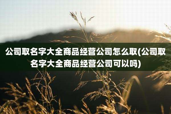 公司取名字大全商品经营公司怎么取(公司取名字大全商品经营公司可以吗)