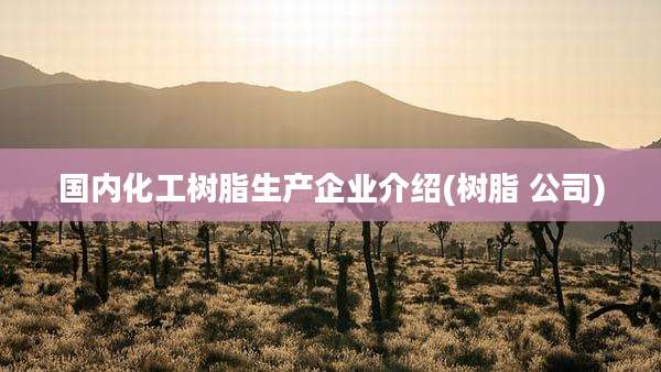 国内化工树脂生产企业介绍(树脂 公司)