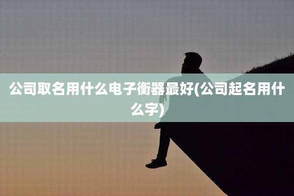 公司取名用什么电子衡器最好(公司起名用什么字)
