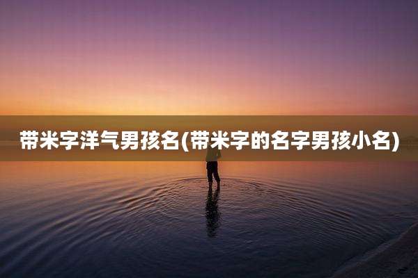 带米字洋气男孩名(带米字的名字男孩小名)