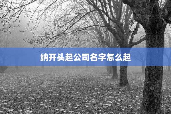 纳开头起公司名字怎么起