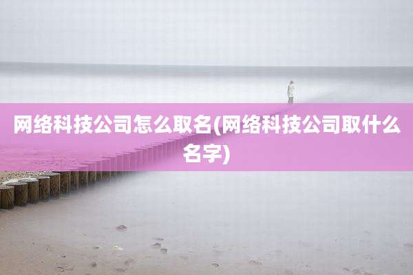 网络科技公司怎么取名(网络科技公司取什么名字)