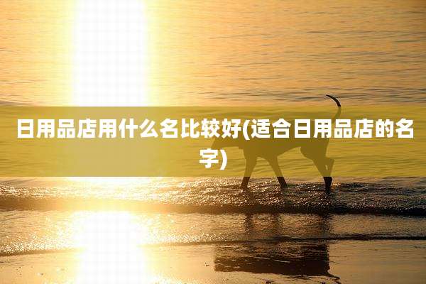 日用品店用什么名比较好(适合日用品店的名字)