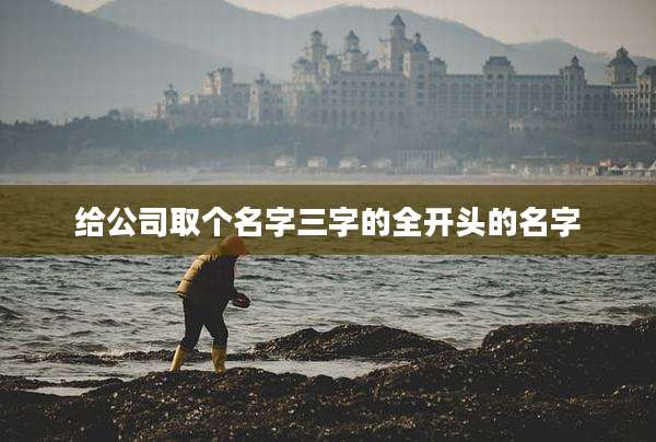 给公司取个名字三字的全开头的名字