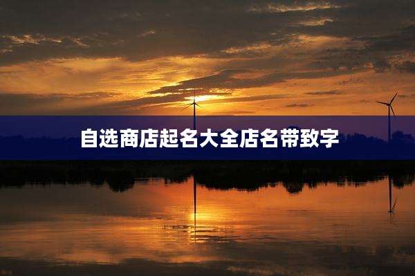 自选商店起名大全店名带致字