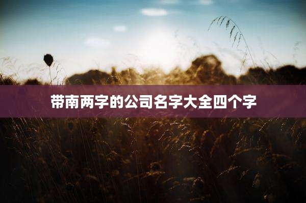 带南两字的公司名字大全四个字