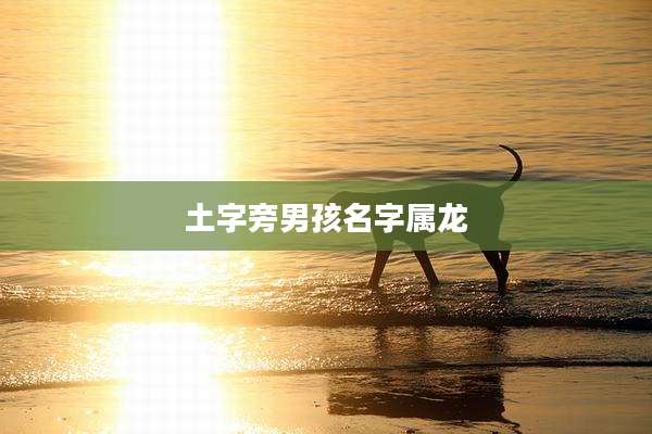 土字旁男孩名字属龙