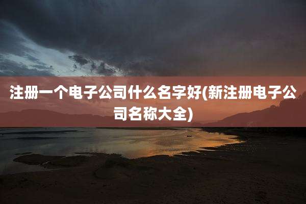 注册一个电子公司什么名字好(新注册电子公司名称大全)