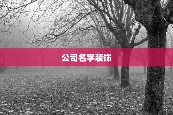 公司名字装饰