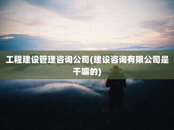 工程建设管理咨询公司(建设咨询有限公司是干嘛的)