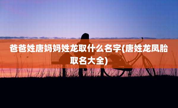 爸爸姓唐妈妈姓龙取什么名字(唐姓龙凤胎取名大全)