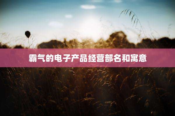 霸气的电子产品经营部名和寓意