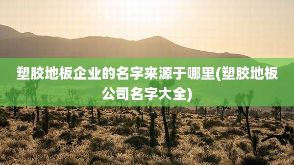 塑胶地板企业的名字来源于哪里(塑胶地板公司名字大全)