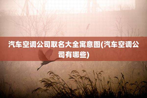 汽车空调公司取名大全寓意图(汽车空调公司有哪些)