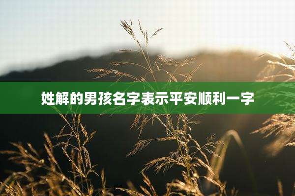 姓解的男孩名字表示平安顺利一字