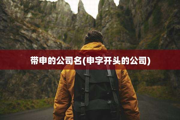 带申的公司名(申字开头的公司)