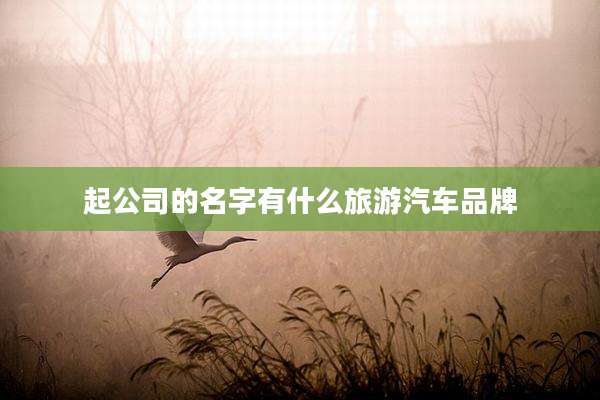 起公司的名字有什么旅游汽车品牌