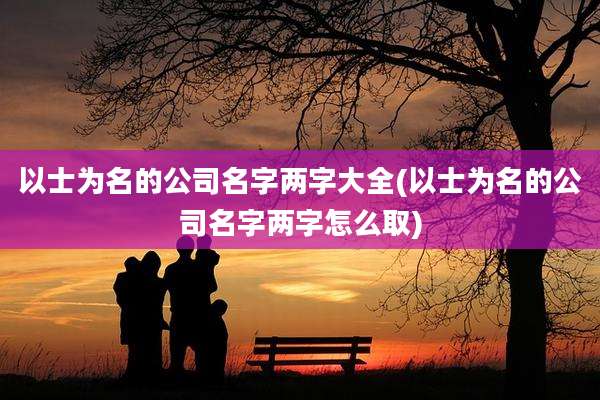 以士为名的公司名字两字大全(以士为名的公司名字两字怎么取)