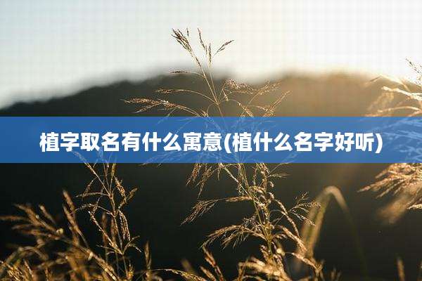 植字取名有什么寓意(植什么名字好听)