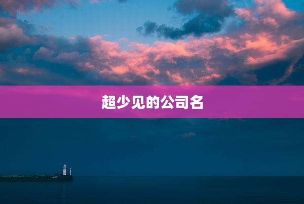 超少见的公司名