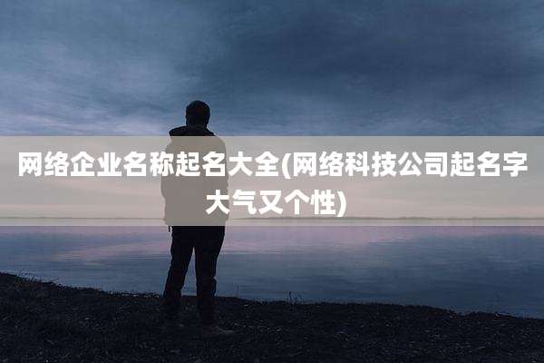 网络企业名称起名大全(网络科技公司起名字 大气又个性)