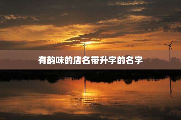 有韵味的店名带升字的名字