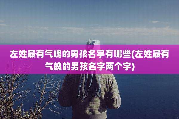 左姓最有气魄的男孩名字有哪些(左姓最有气魄的男孩名字两个字)