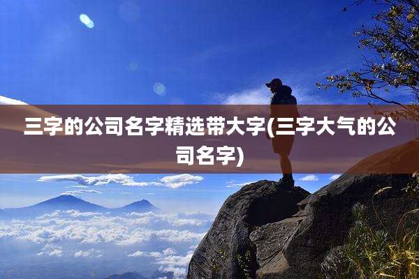 三字的公司名字精选带大字(三字大气的公司名字)