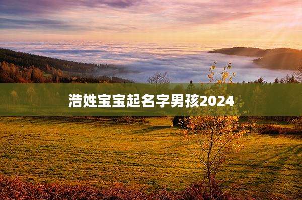 浩姓宝宝起名字男孩2024