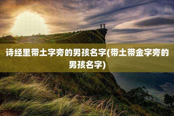 诗经里带土字旁的男孩名字(带土带金字旁的男孩名字)