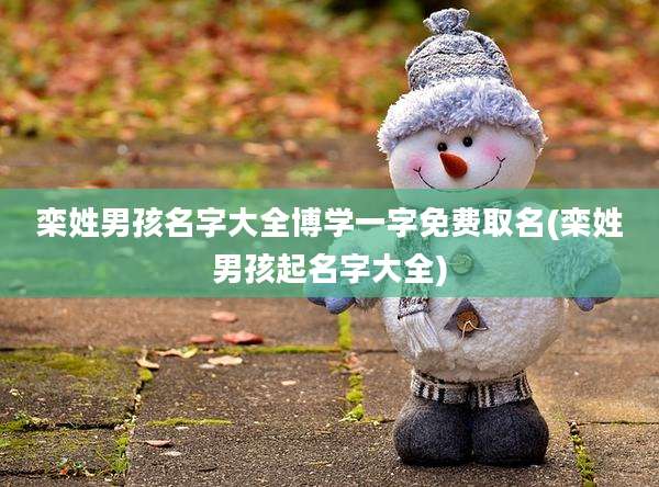 栾姓男孩名字大全博学一字免费取名(栾姓男孩起名字大全)