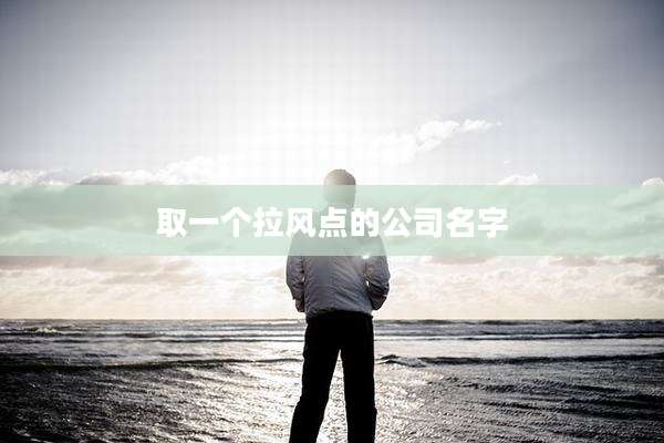 取一个拉风点的公司名字