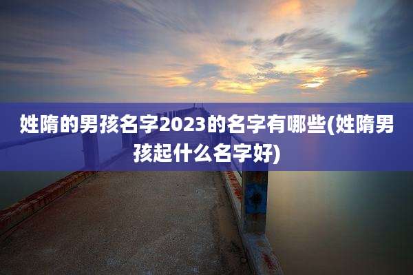 姓隋的男孩名字2023的名字有哪些(姓隋男孩起什么名字好)