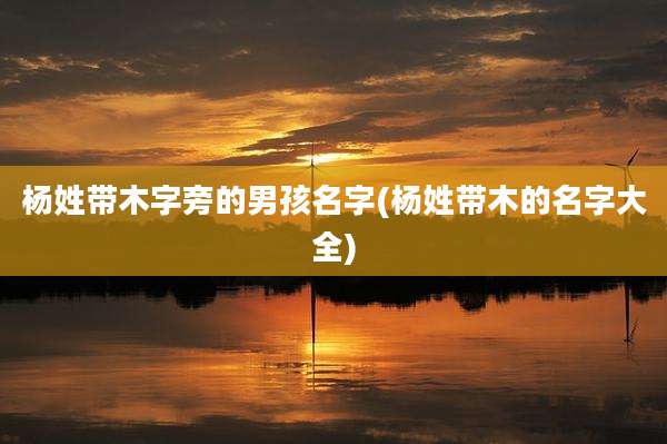 杨姓带木字旁的男孩名字(杨姓带木的名字大全)
