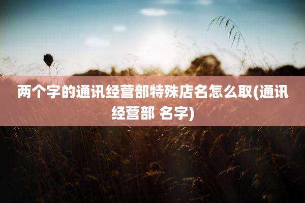 两个字的通讯经营部特殊店名怎么取(通讯经营部 名字)