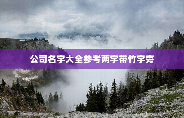 公司名字大全参考两字带竹字旁