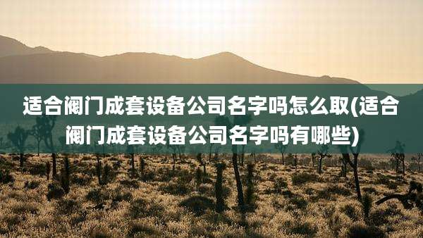 适合阀门成套设备公司名字吗怎么取(适合阀门成套设备公司名字吗有哪些)