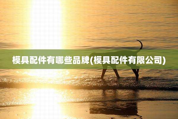 模具配件有哪些品牌(模具配件有限公司)