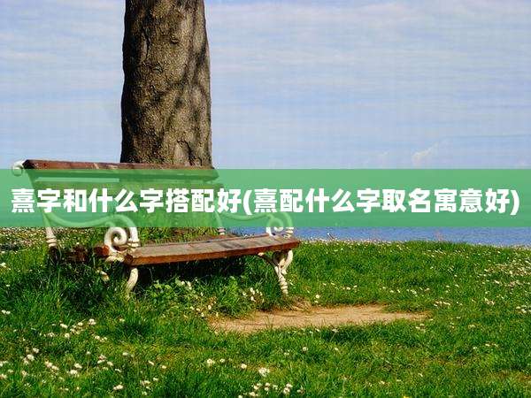 熹字和什么字搭配好(熹配什么字取名寓意好)