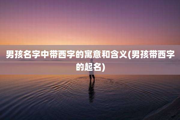 男孩名字中带西字的寓意和含义(男孩带西字的起名)