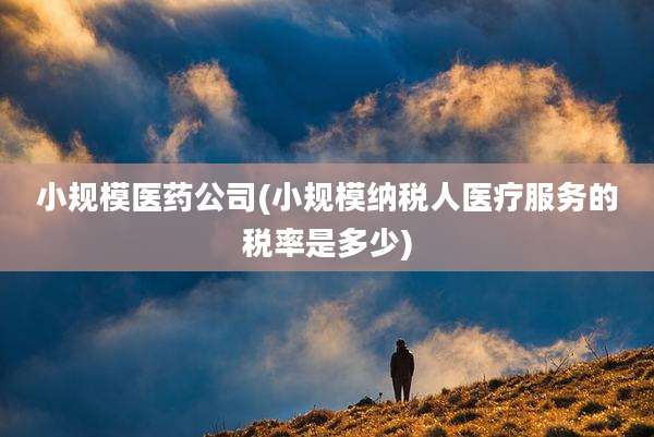 小规模医药公司(小规模纳税人医疗服务的税率是多少)