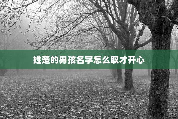 姓楚的男孩名字怎么取才开心