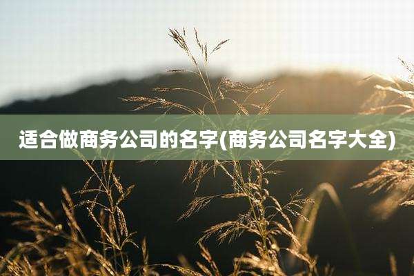 适合做商务公司的名字(商务公司名字大全)