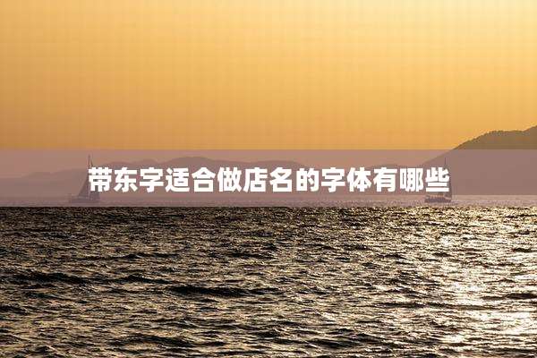 带东字适合做店名的字体有哪些
