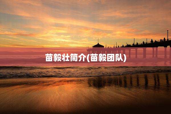 苗毅壮简介(苗毅团队)
