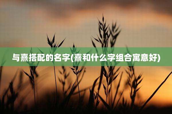 与熹搭配的名字(熹和什么字组合寓意好)
