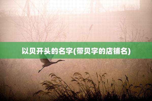 以贝开头的名字(带贝字的店铺名)