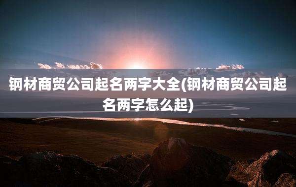 钢材商贸公司起名两字大全(钢材商贸公司起名两字怎么起)