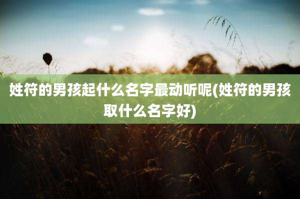 姓符的男孩起什么名字最动听呢(姓符的男孩取什么名字好)