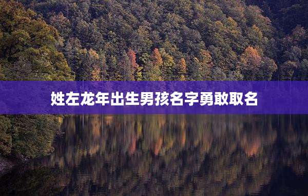 姓左龙年出生男孩名字勇敢取名